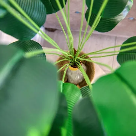 Charming 1br With Amazing Sea Views Just Steps Away By 360 Estates Saint Julian's